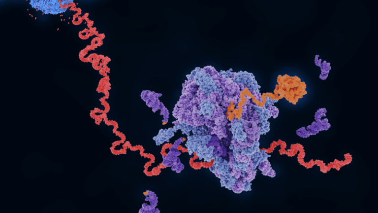 A More Complete Cancer Transcriptome with The ISO-SEQ Method — Single-cell And Bulk RNA Sequencing